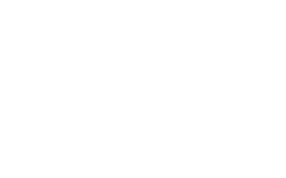 vLoyal - وی لویال